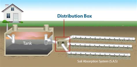 how far is distribution box from septic tank|d box for septic tank.